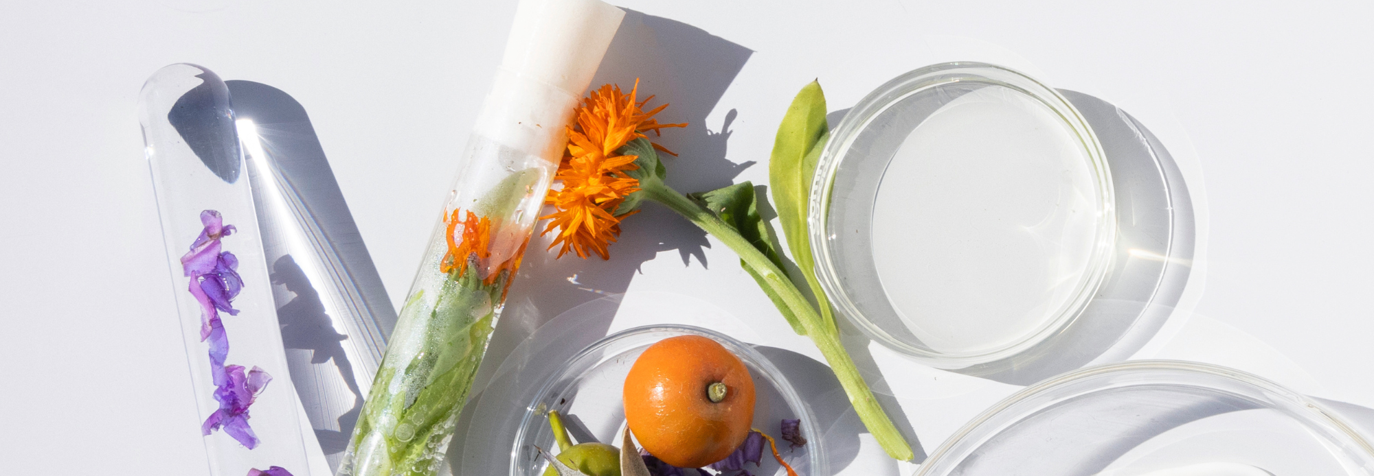 Why We’re Investing in Clinical Testing